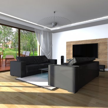 Piękny salon z przeszkleniami - projekt wnętrza